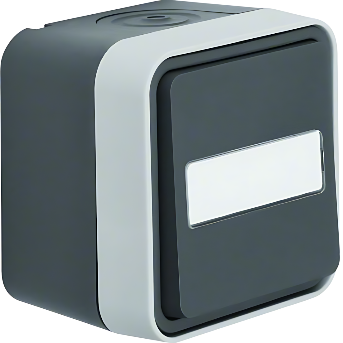 Berker Taster 50763555