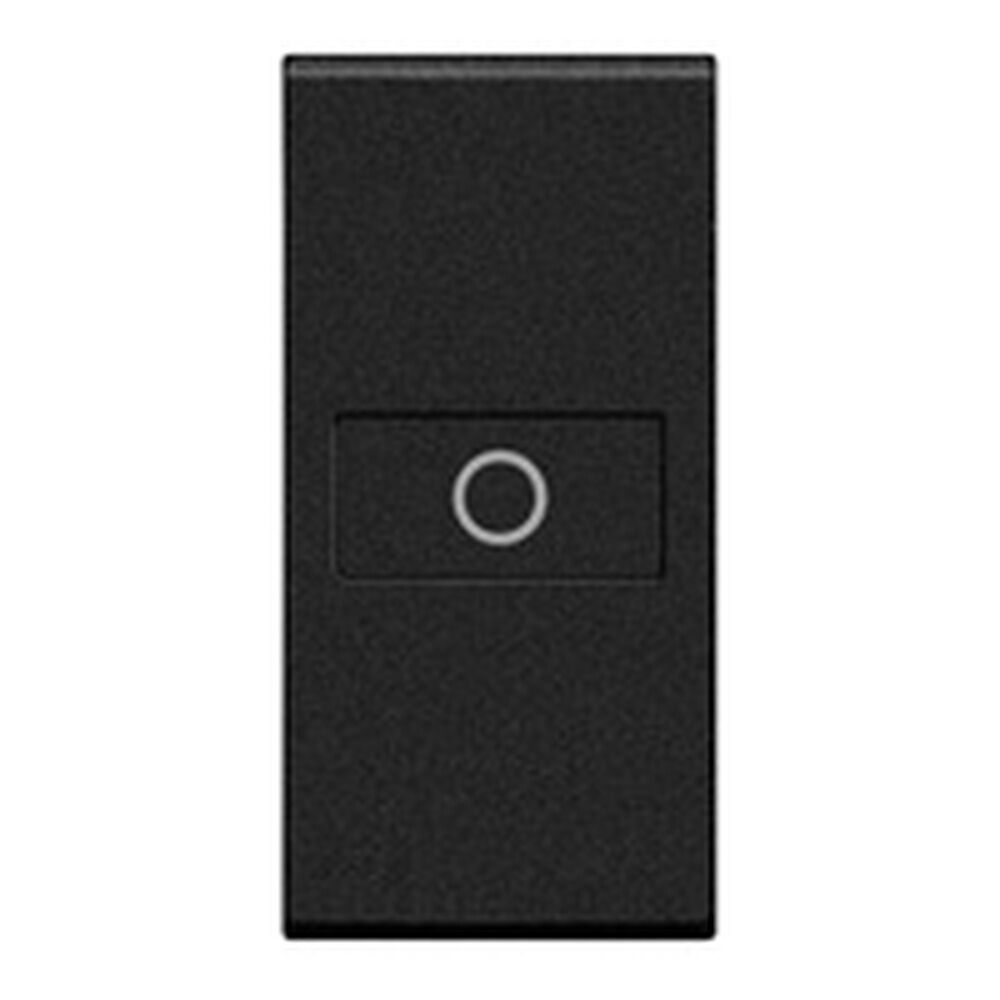 Bticino Wippe L4916A