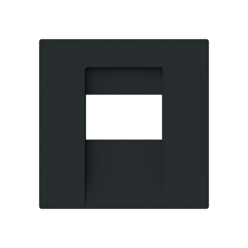 Busch-Jaeger Zentralscheibe 1766-45M Typ 2CKA001710A4165