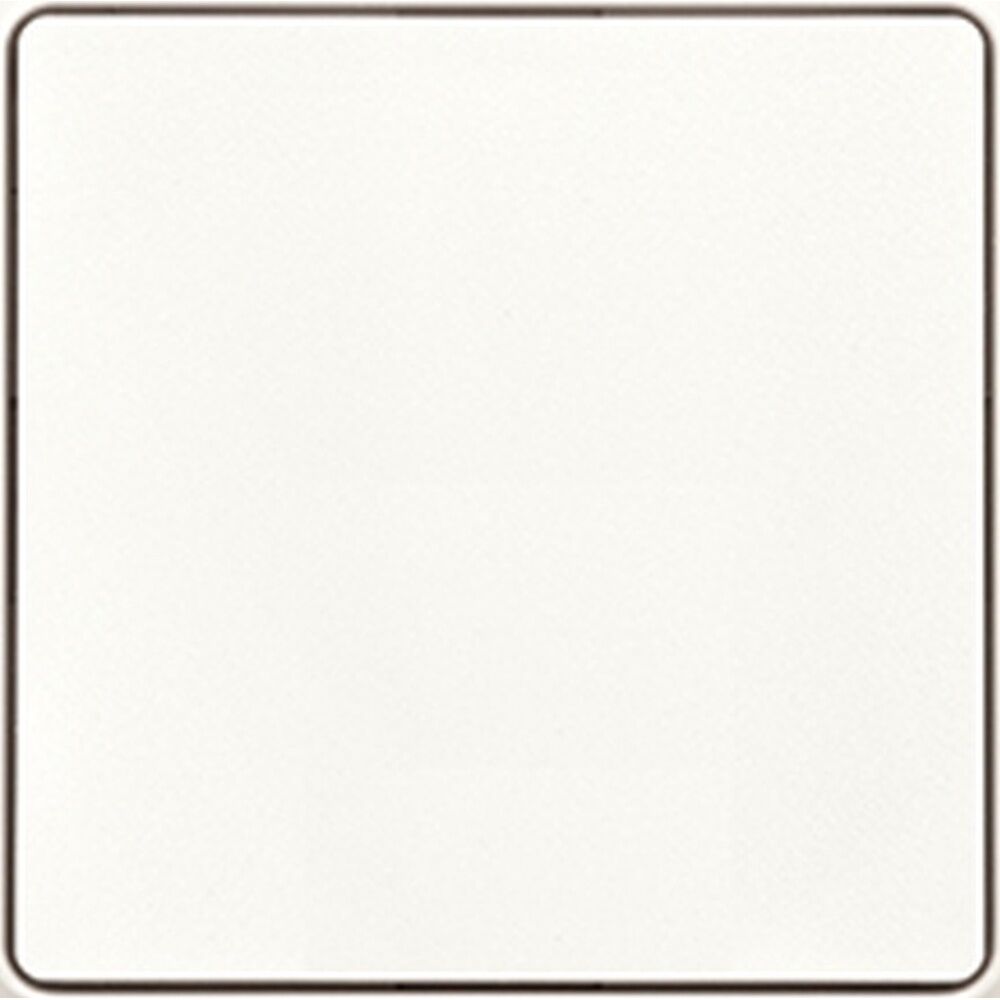 ELTAKO Funktaster 30055673 Typ F2T55EB-pm