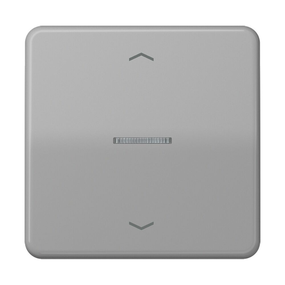 Jung JUNG HOME Taster BTCD17101PGR