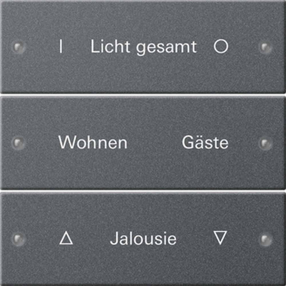 Gira Wippenset 3fach 220328