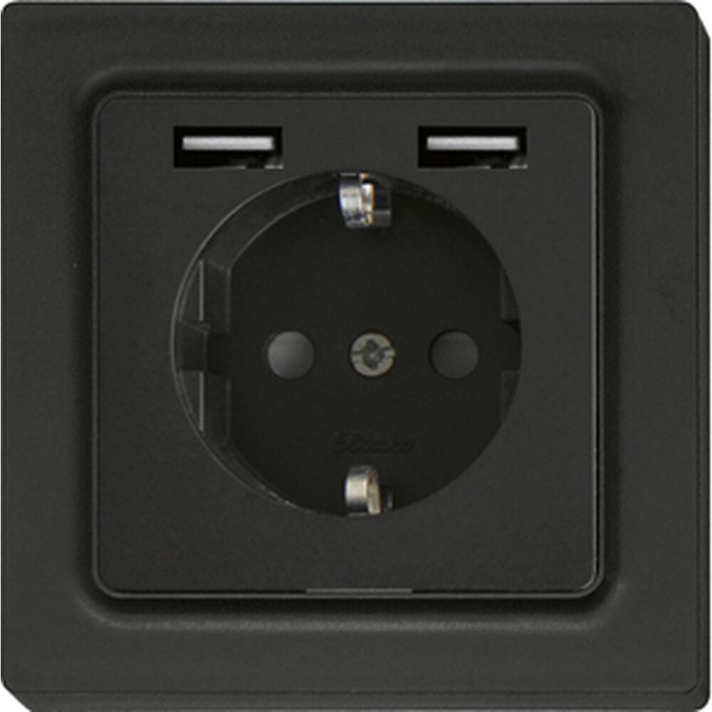 ELTAKO Schutzkontakt Steckdose 30055899 Typ DSS55E+2xUSBA-am