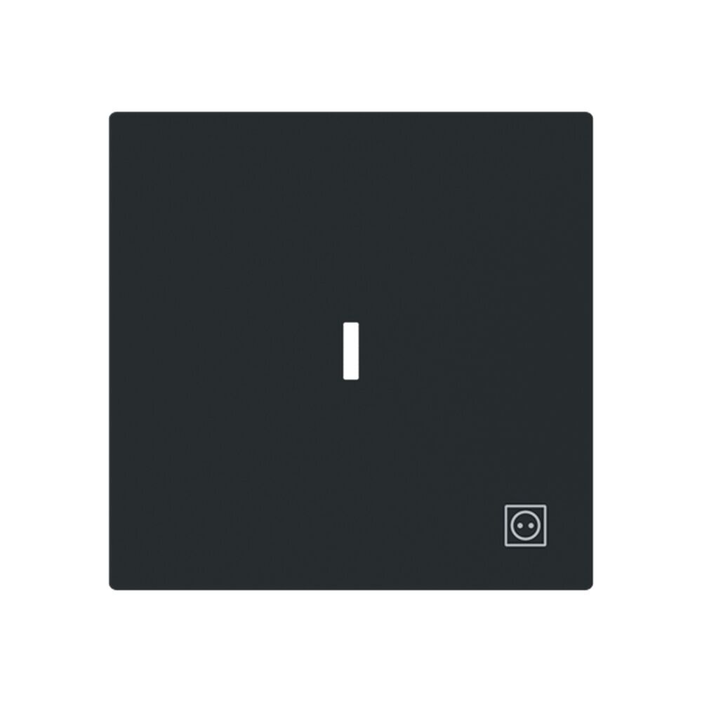 Busch-Jaeger Wippe 1789 ST-45M Typ 2CKA001751A3384