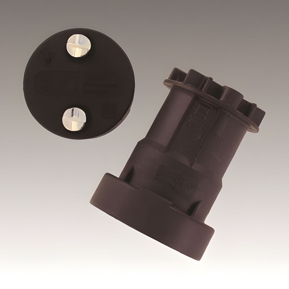 Schaum Illufassung 241212