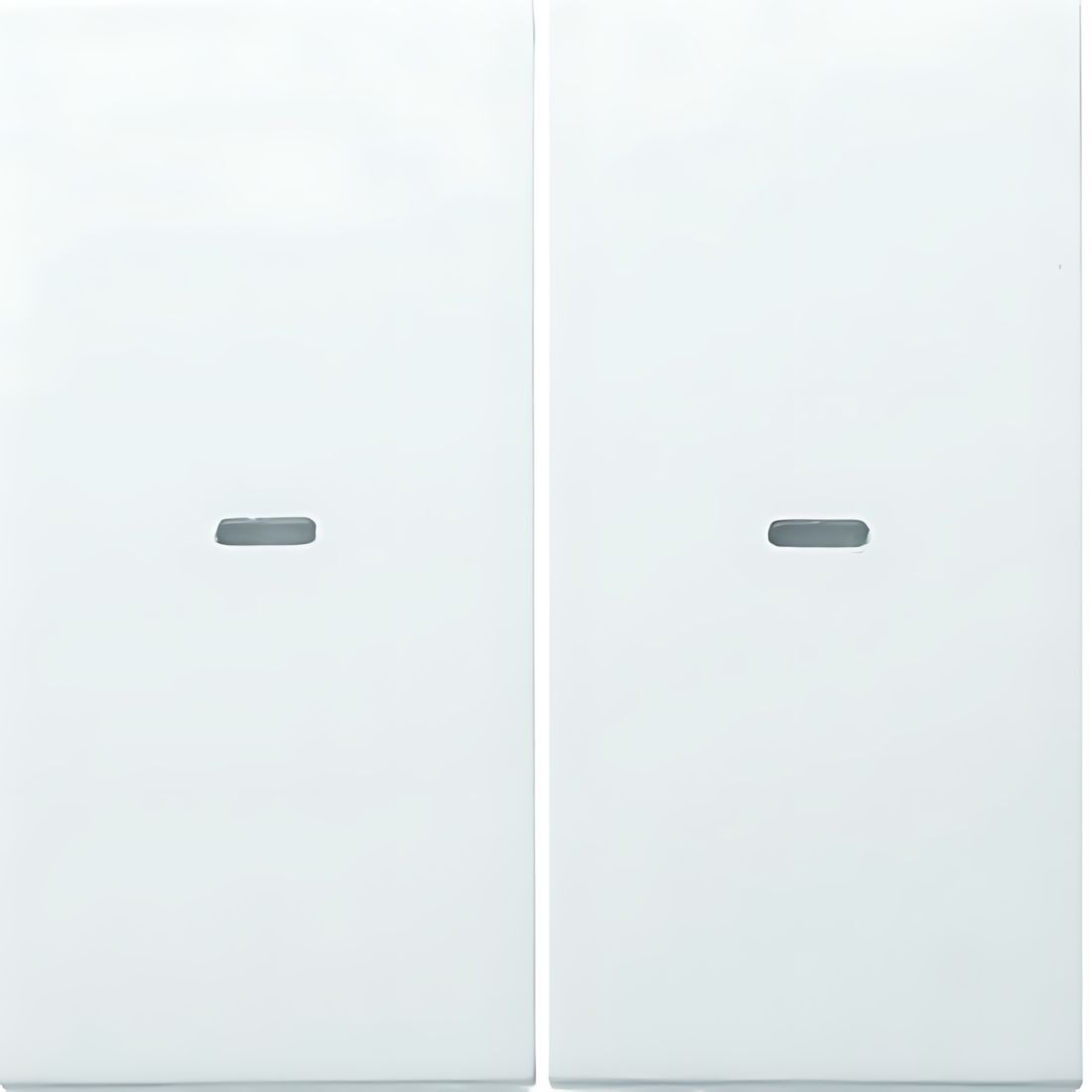 Berker Wippe 80960389