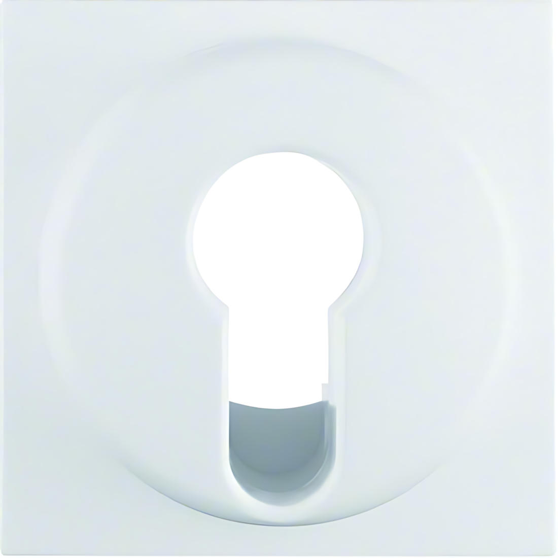 Berker Zentralstück 15076089 