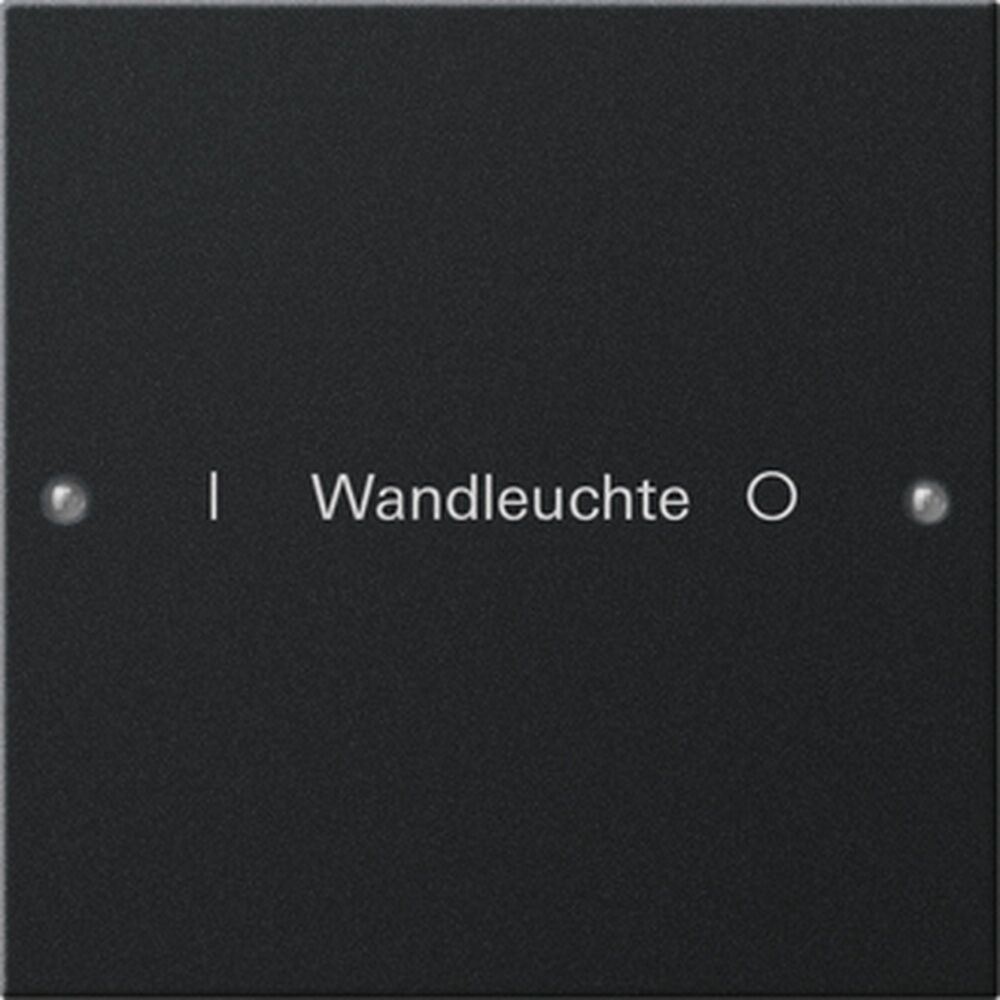 Gira Wippenset 2201005