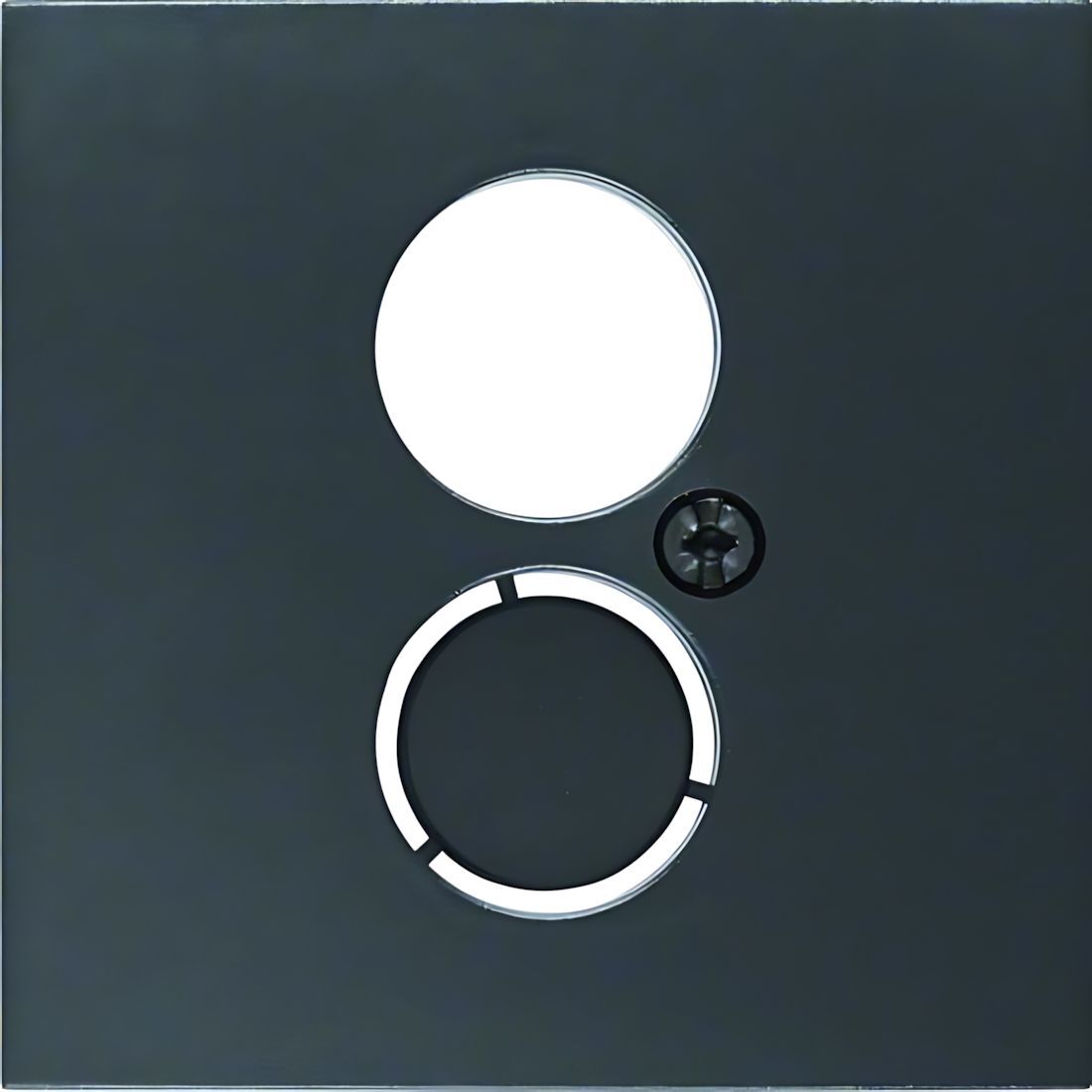 Berker Zentralstück 11961606