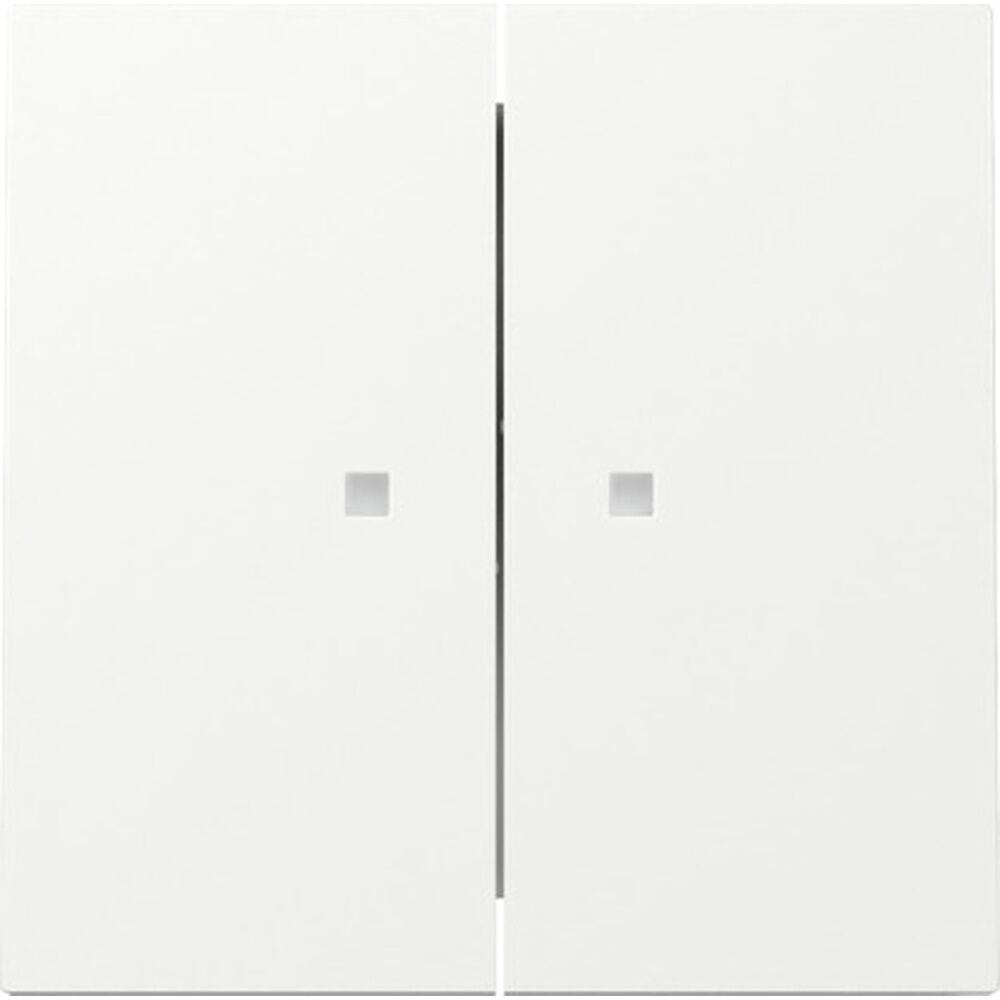 Gira Wippe 2fach 363170 