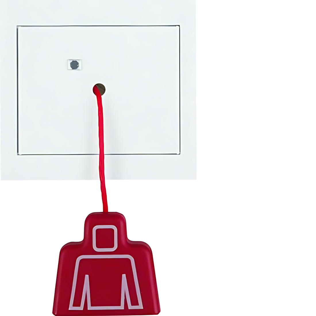 Berker Zugtaster 52027009 