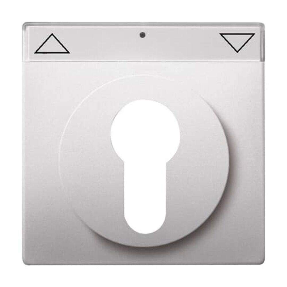 Busch-Jaeger Zentralscheibe 1755 SL/PZ-866-101 Nr. 2CKA001710A3749