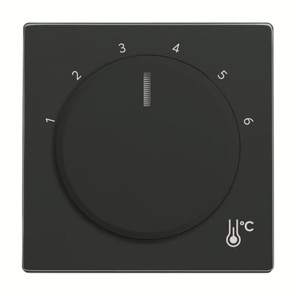 Busch-Jaeger Zentralscheibe Temperatur 1794 R-81 Nr. 2CKA001710A4198 