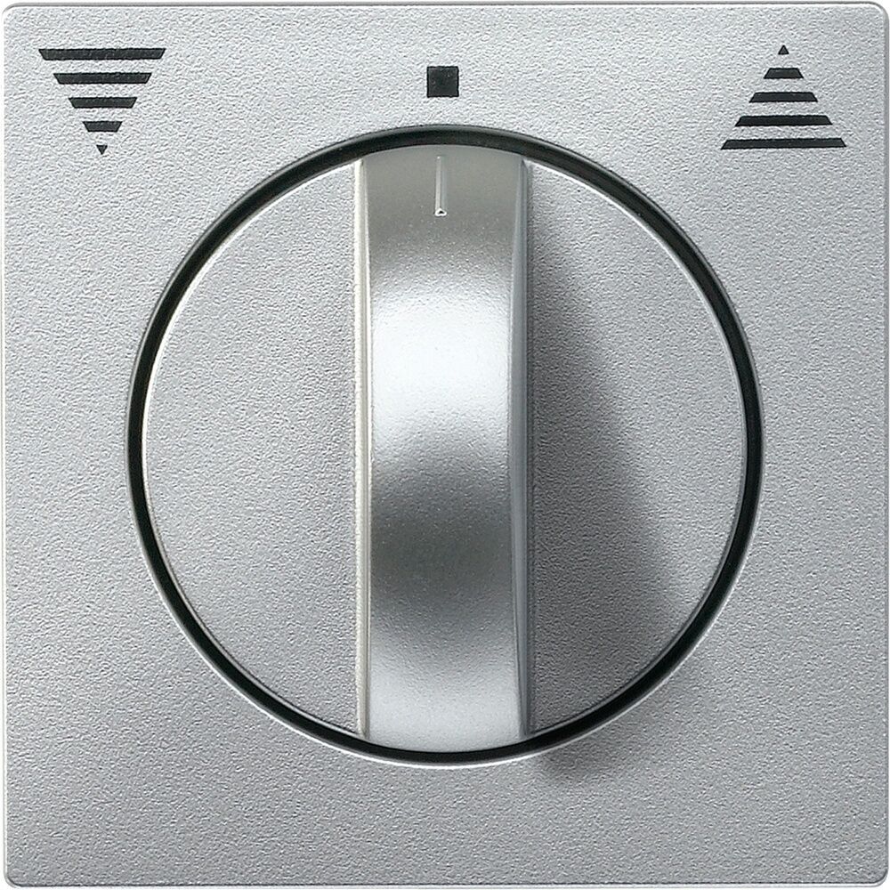 Merten Zentralplatte 569860