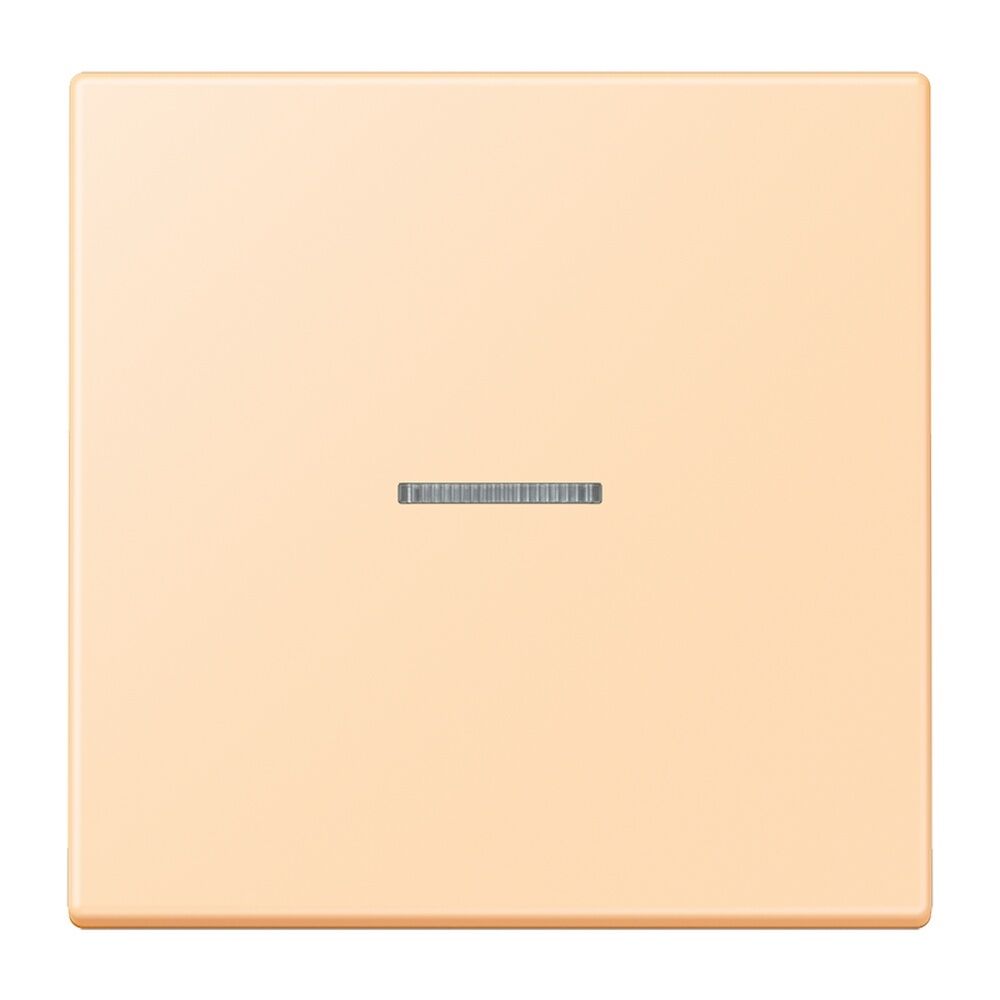 Jung JUNG HOME Taster BTLC17101223 