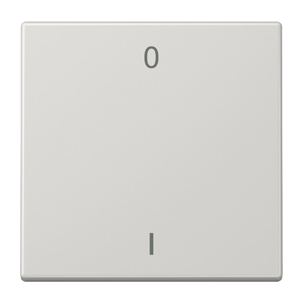 Jung EnOcean Funk Wandsender ENO LS 990-01 LG