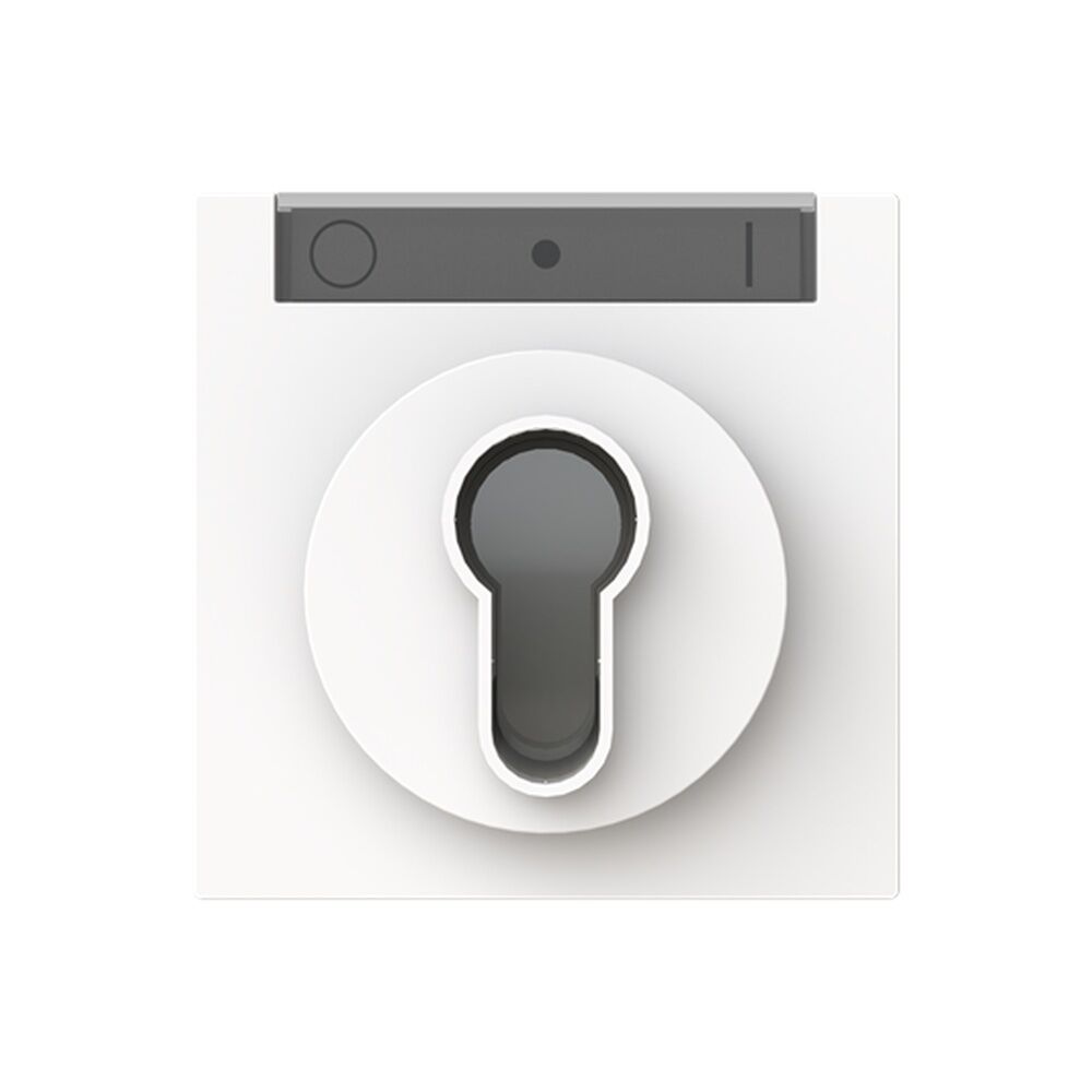 Busch-Jäger Zentralscheibe 1755 SL/PZ-44M Nr. 2CKA001710A4158