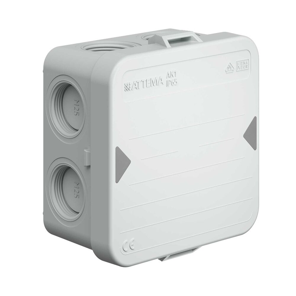 Kaiser Kabelabzweigkasten AT2518