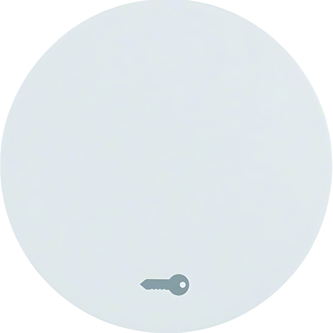 Berker Wippe 16202059 