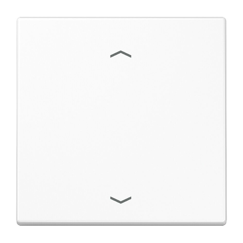 Jung Steuertaste LS1700PWW