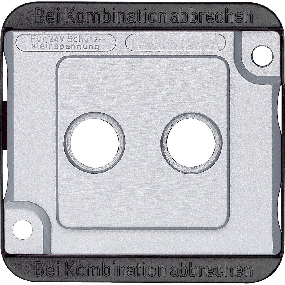 Merten Zentralplatte 294660 