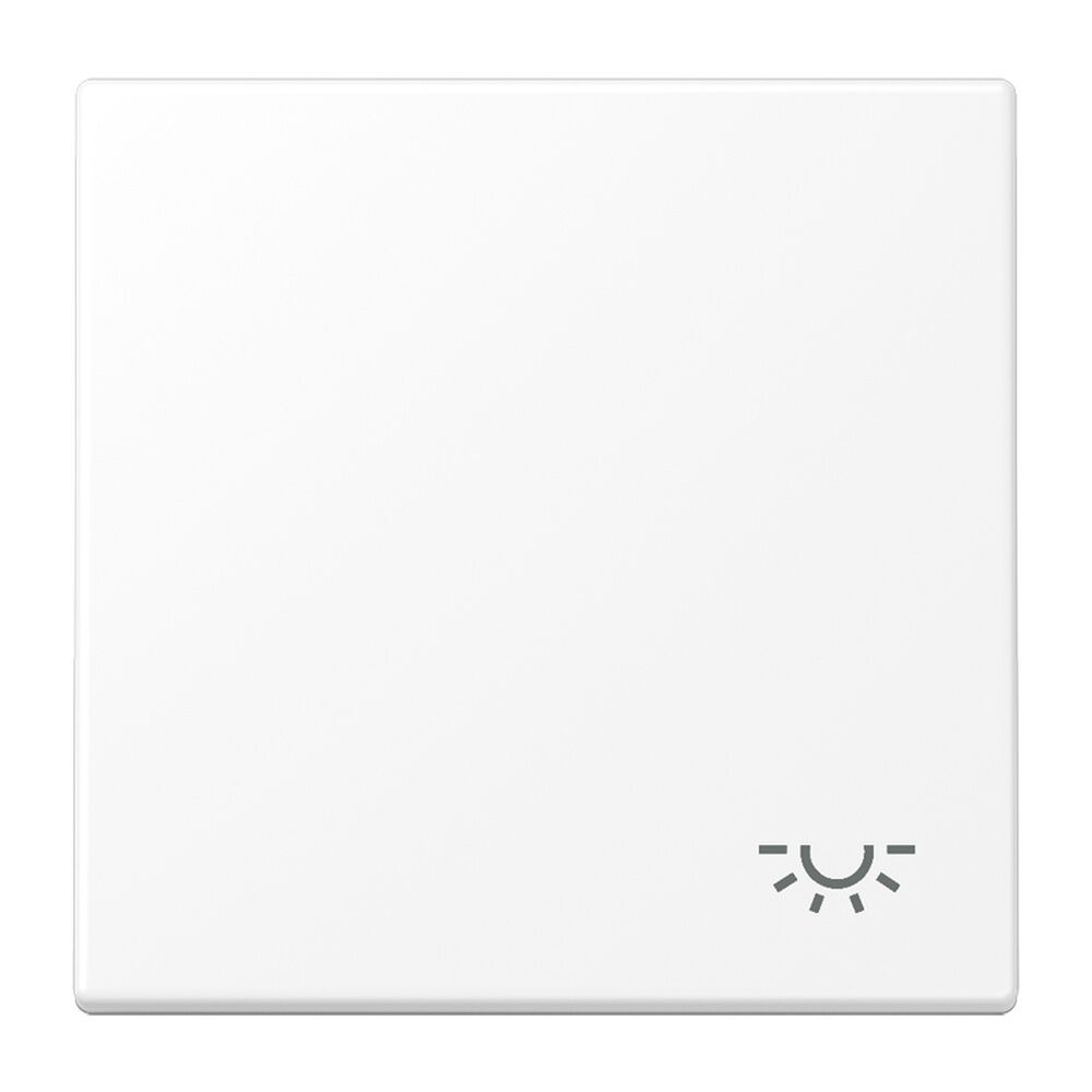 Jung Wippe 1fach LS990LWWM 