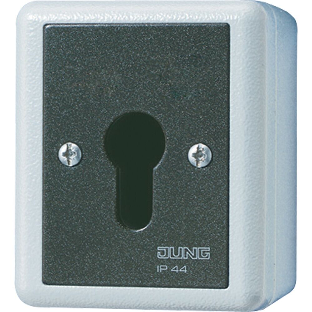 Jung Schlüsselschalter 833.18 G