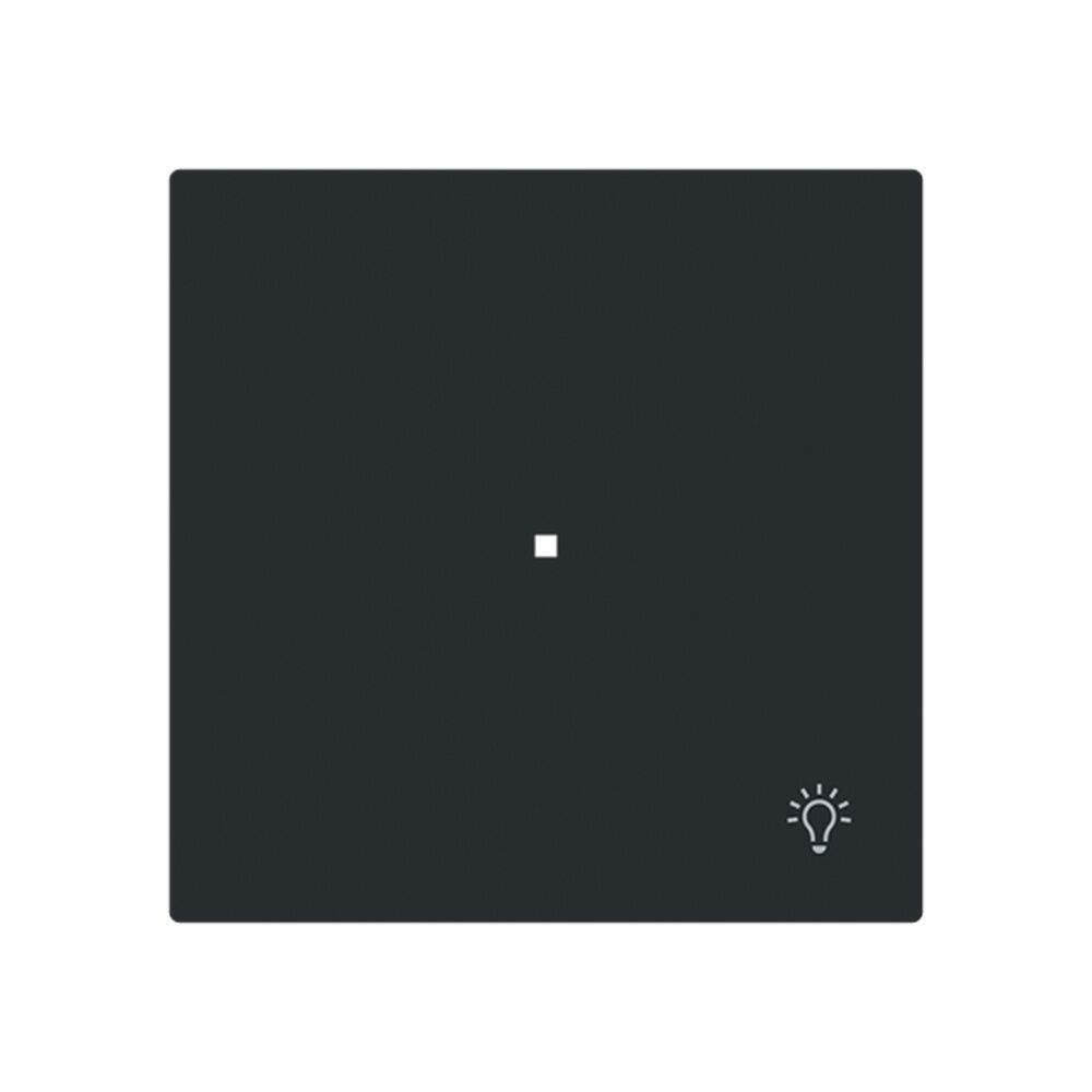 Busch-Jaeger Wippe 6231-10-45M Typ 2CKA006220A0931