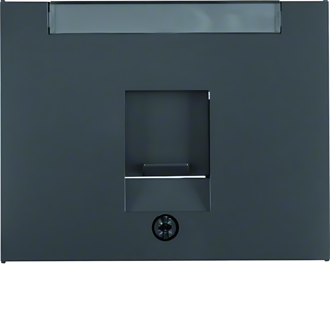 Berker Zentralstück 11707006 