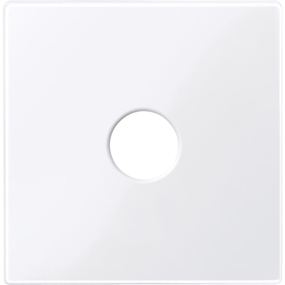 Merten Zentralplatte 451825