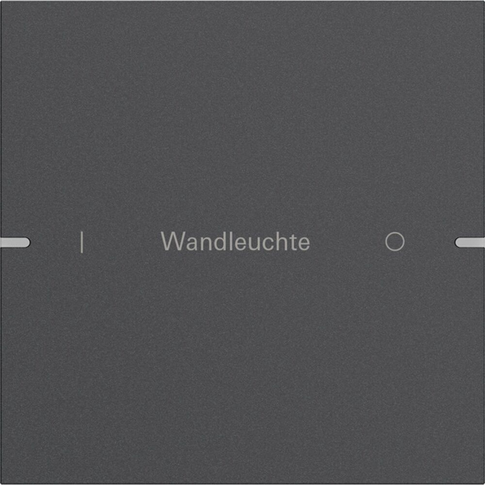 Gira Wippenset 1fach 5031928