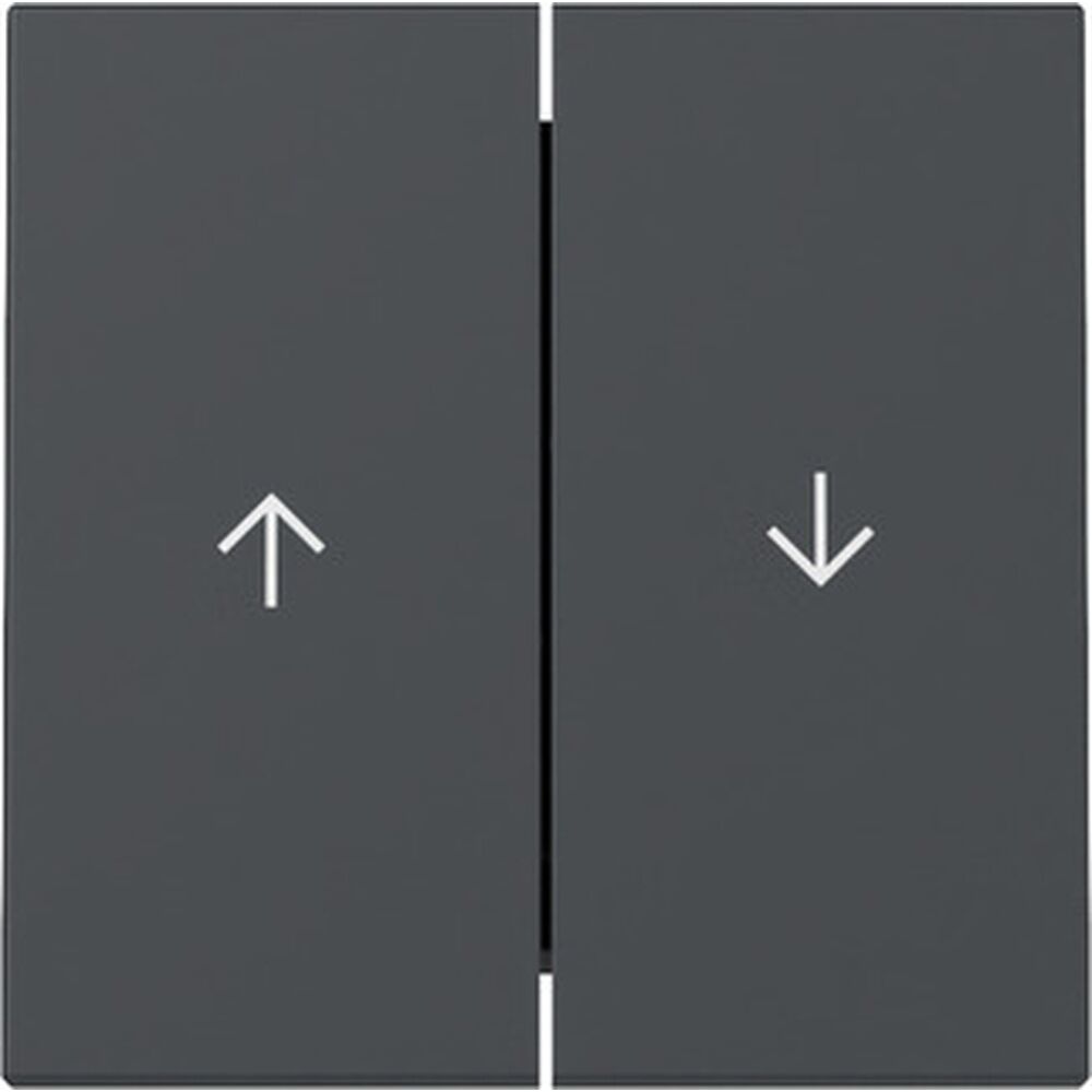 Gira Wippe 2fach 329428