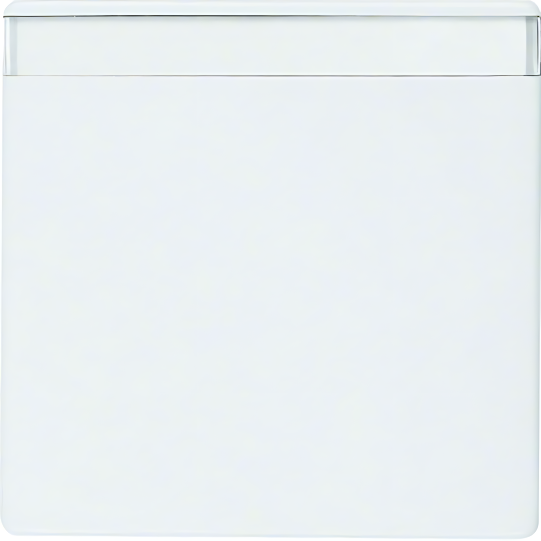 Berker Wippe 16266089 