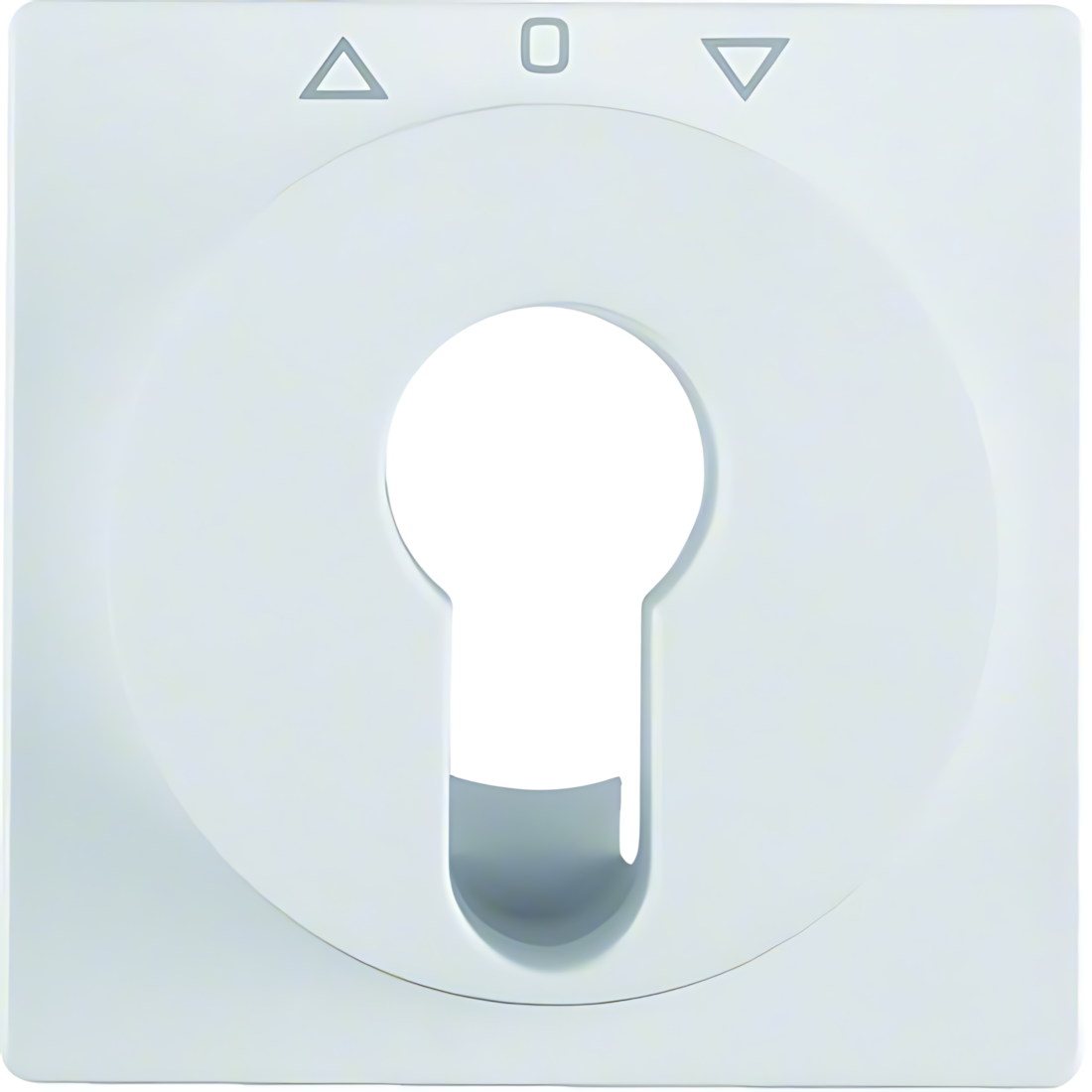 Berker Zentralstück 15066089 