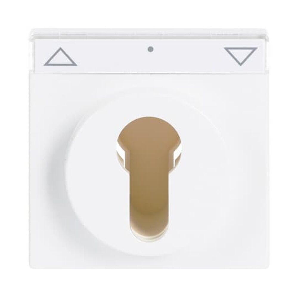 Busch-Jaeger Zentralscheibe 1755 SL/PZ-84-101 Nr. 2CKA001710A3175