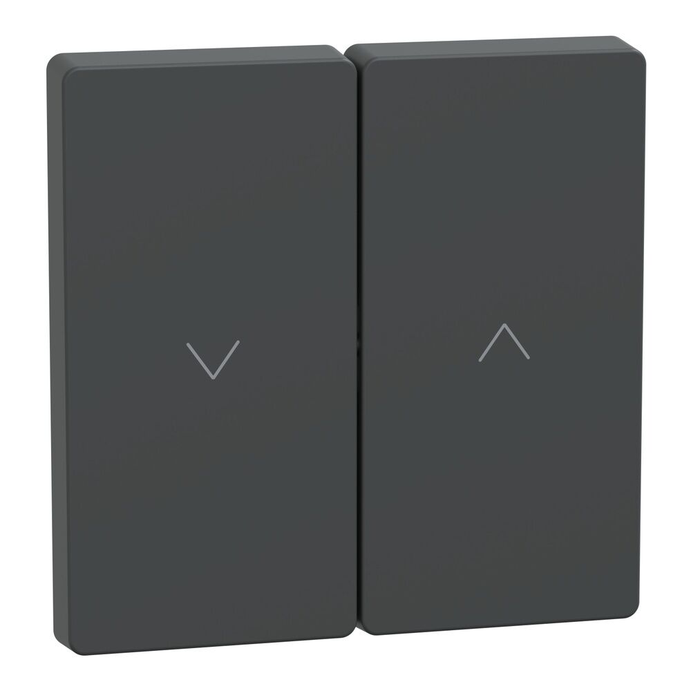 Merten Wippe MEG3855-6034