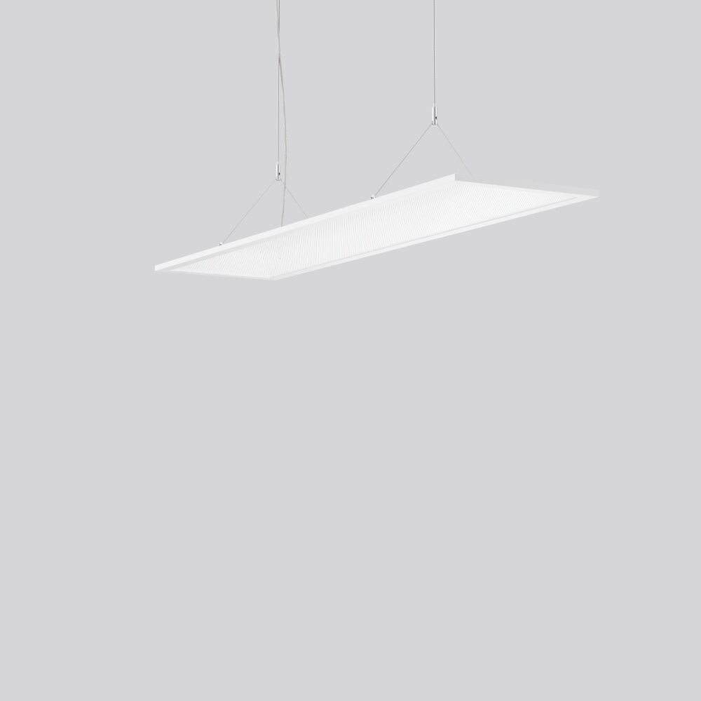 RZB Pendel Flächenleuchte 312374.002.5.76