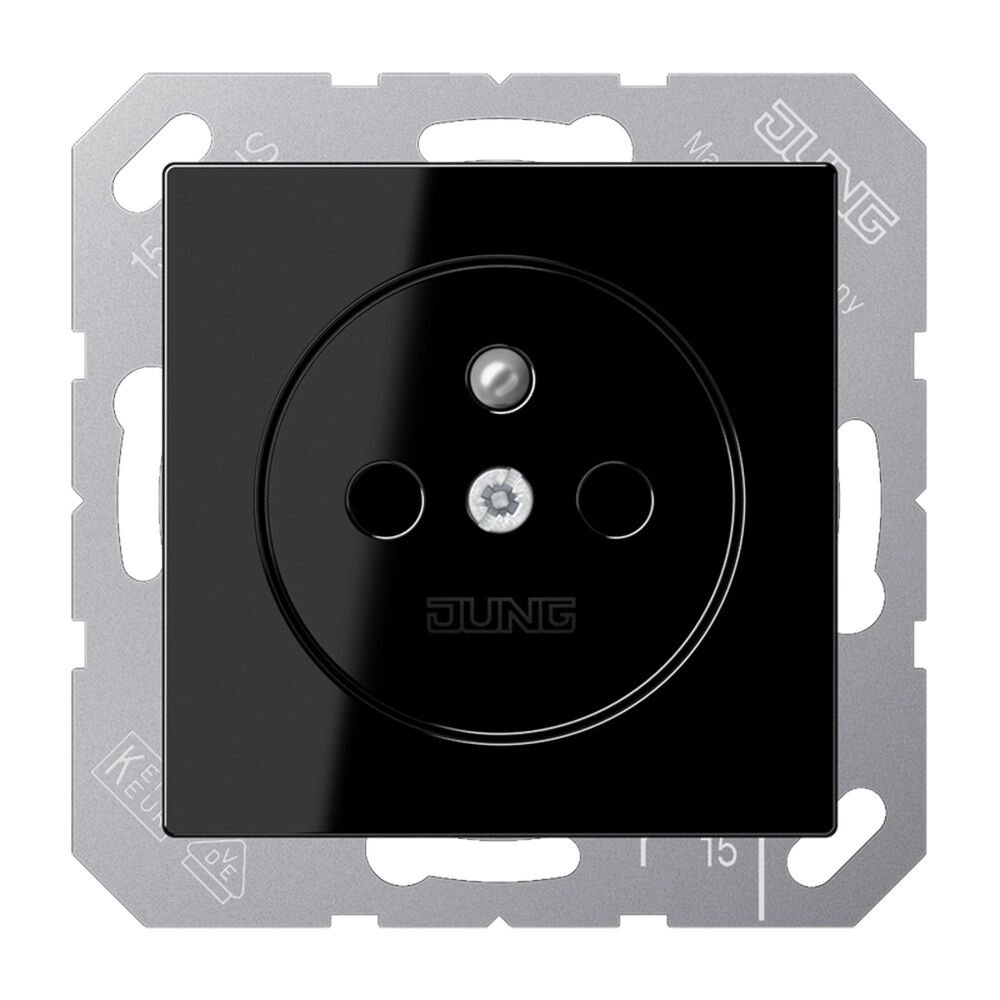 Jung Steckdose A 1520 FBFKI SW