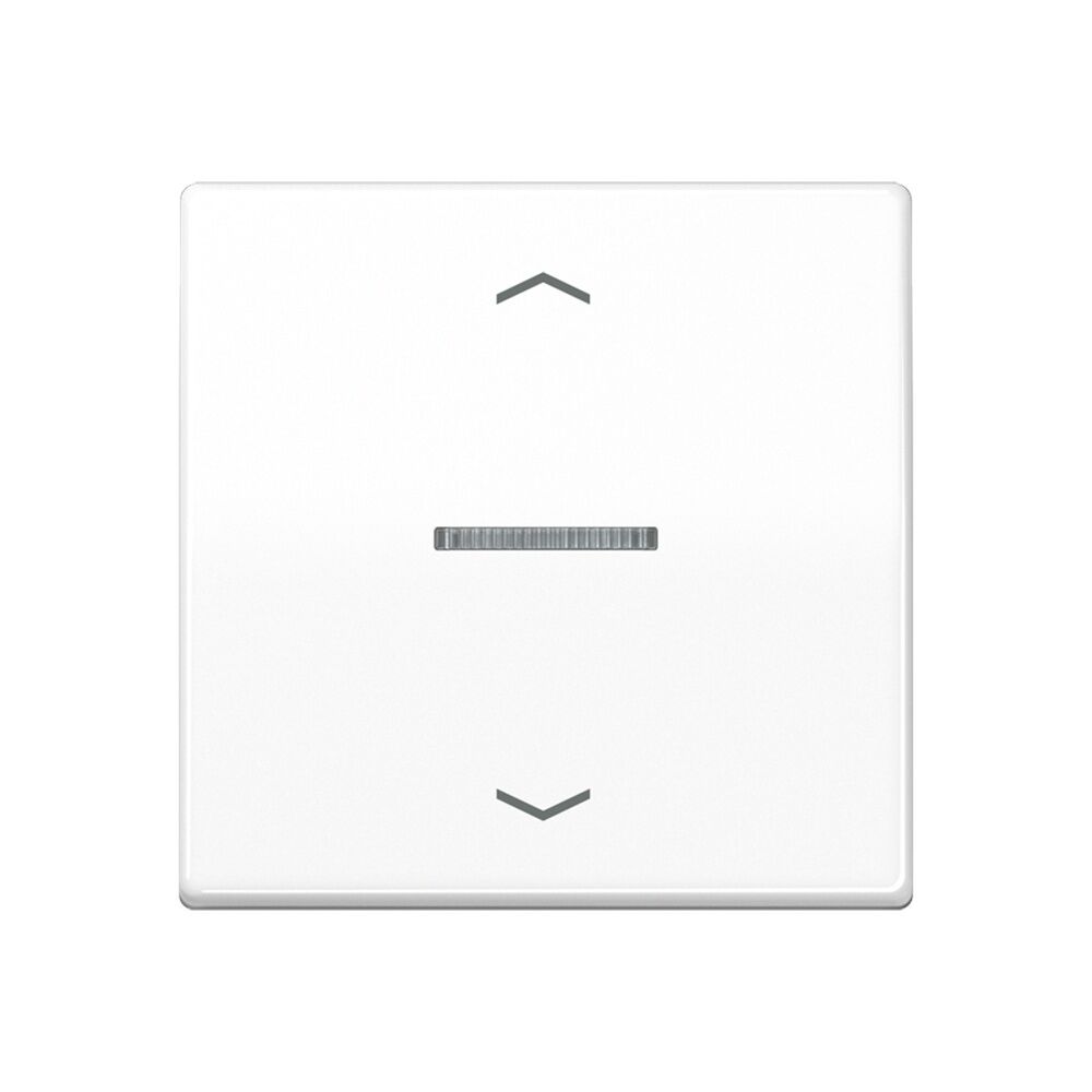 Jung Wippe m. Lichtleiter AS101KO5PWW