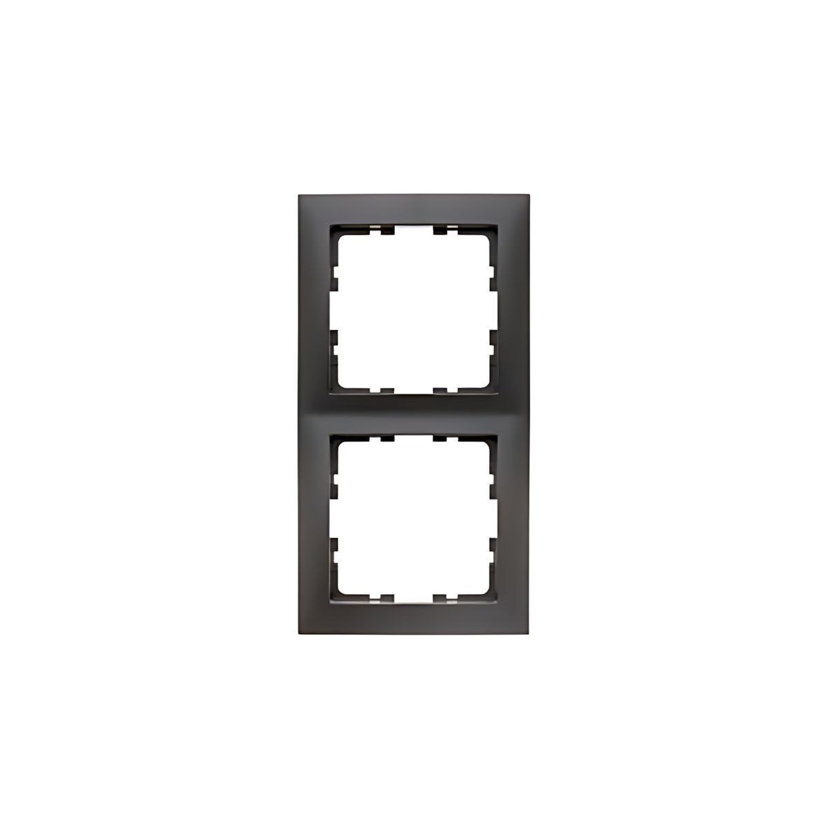 Berker Rahmen 10129949 