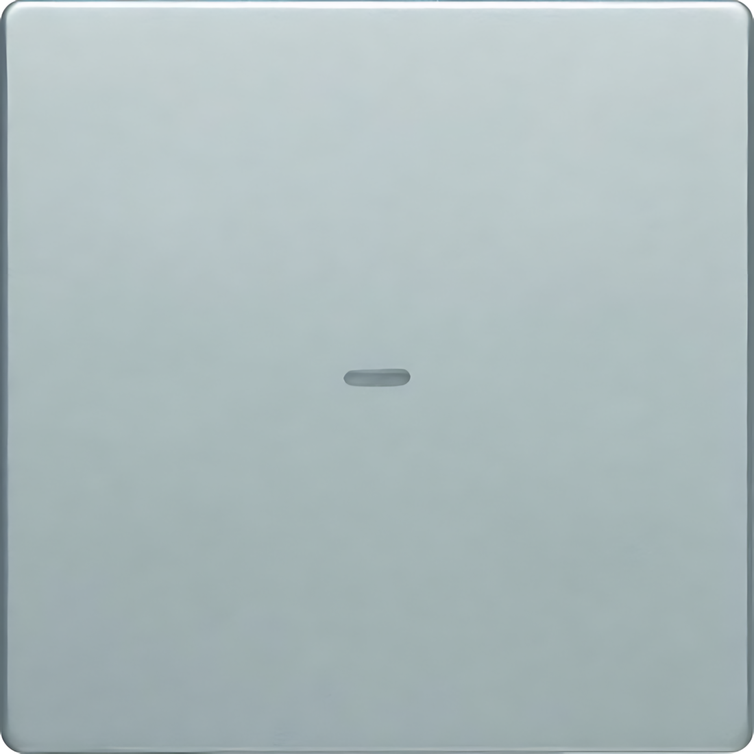 Berker Abdeckung 80960221