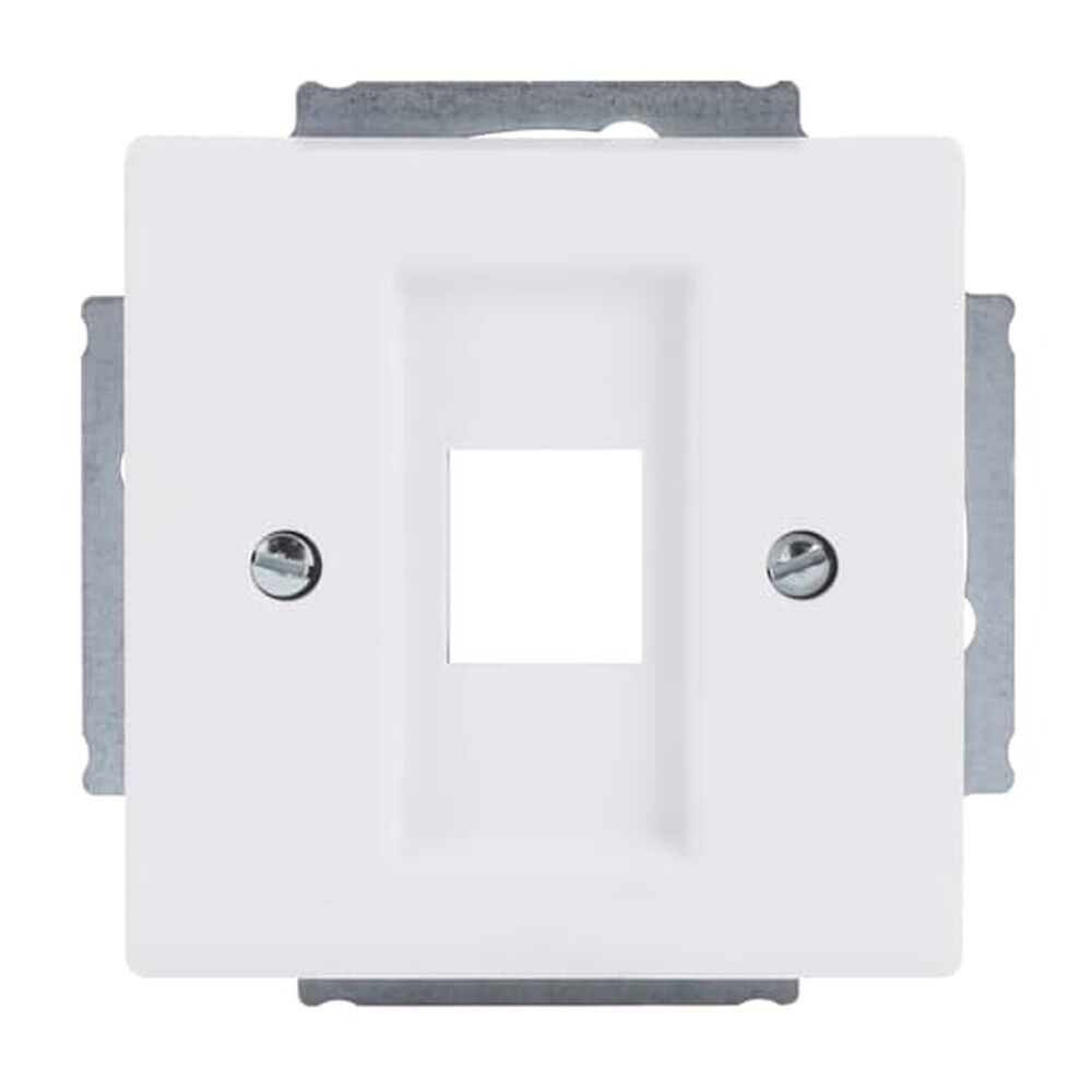 Busch-Jaeger Zentralscheibe 2561-884 Nr. 2CKA001753A0405