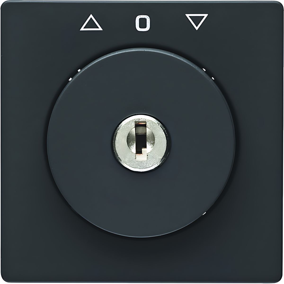 Berker Zentralstück m. Schloss 1083608600