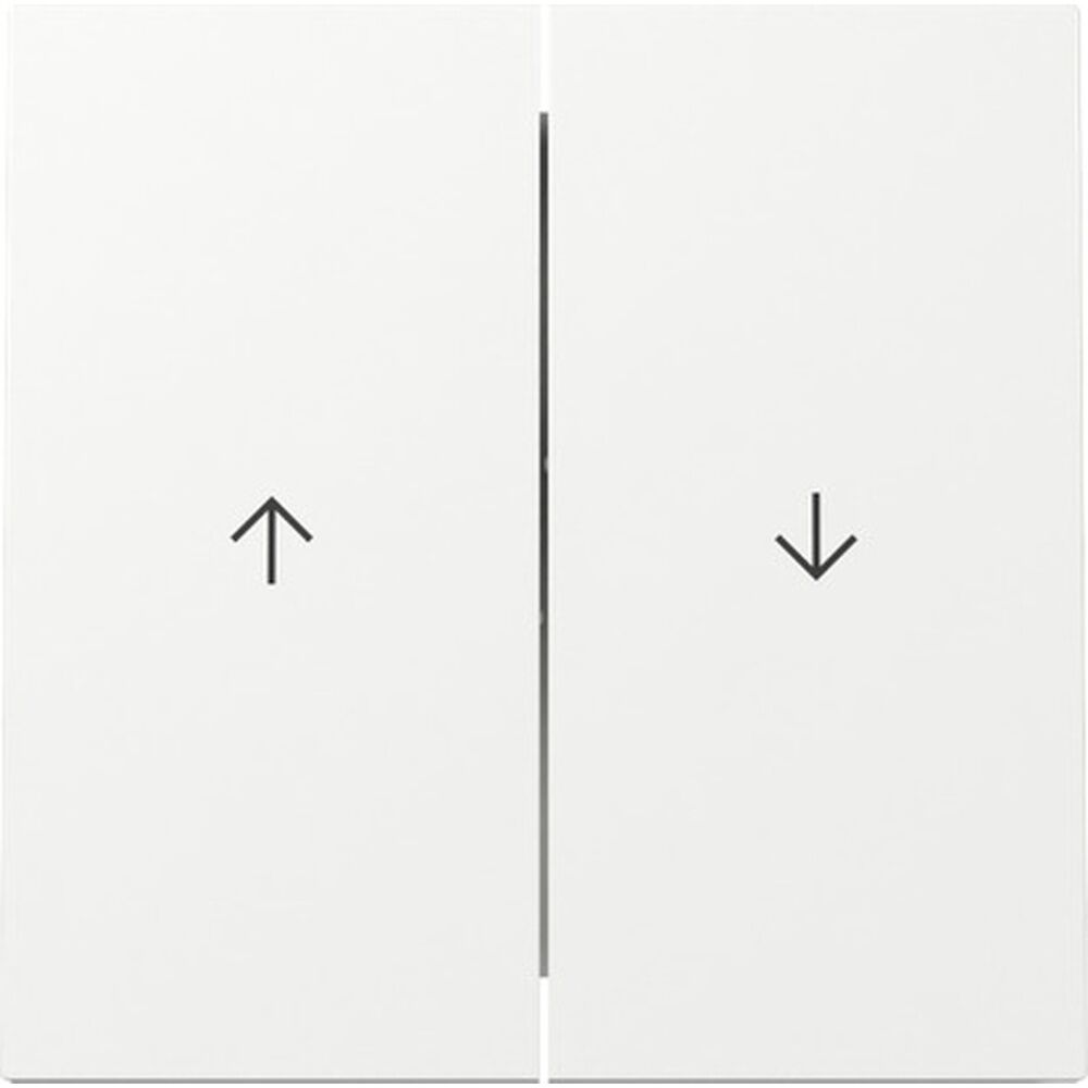 Gira Wippe 2fach 329470