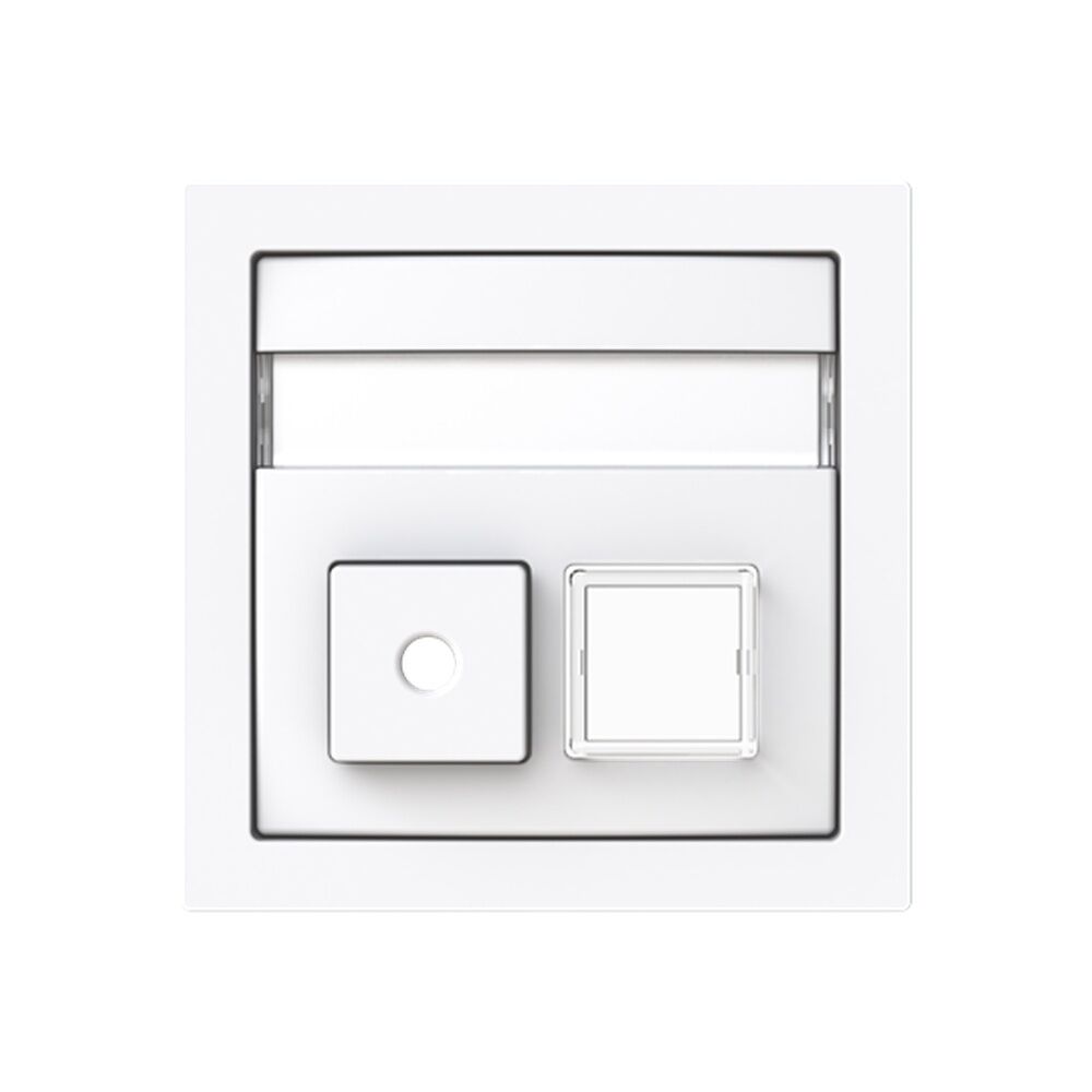 Busch-Jäger Zentralscheibe 1572 CN-44G Nr. 2CKA001582A0447