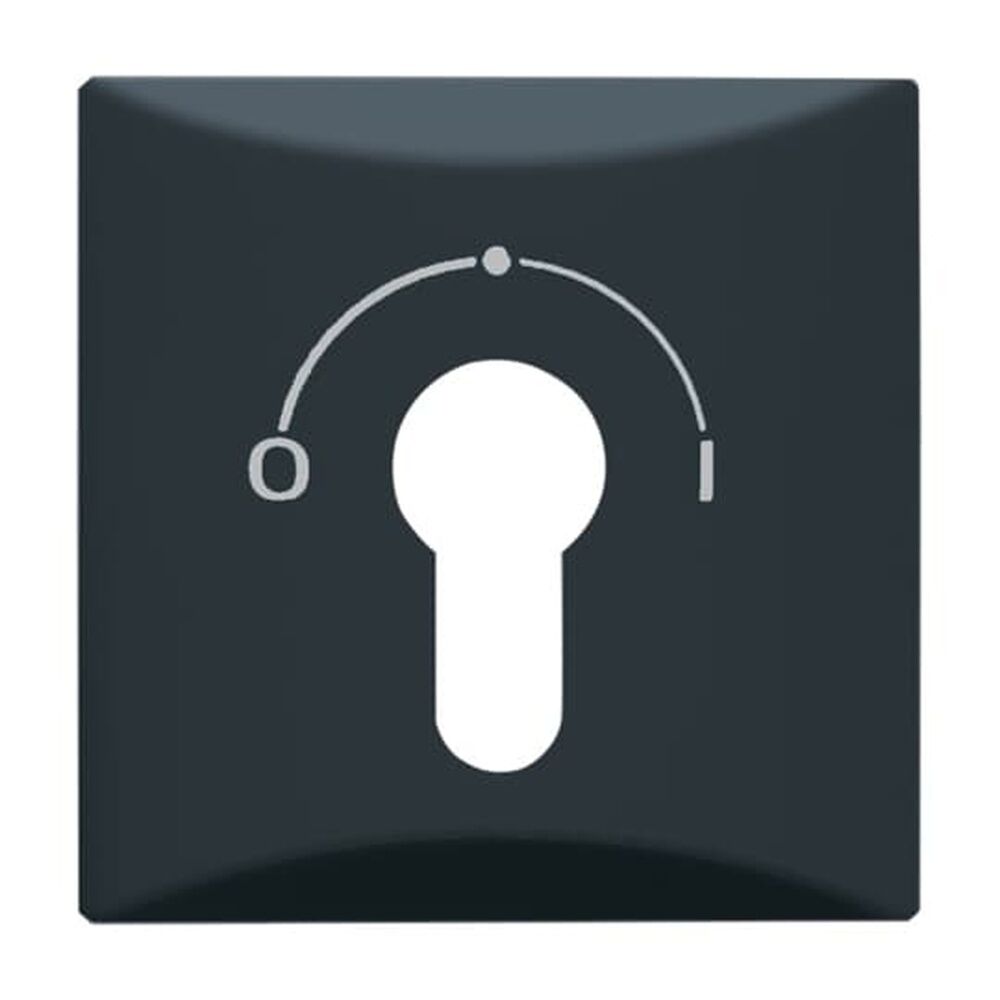 Busch-Jaeger Zentralscheibe 2155 SLPZ-35 Nr. 2CKA001710A1902