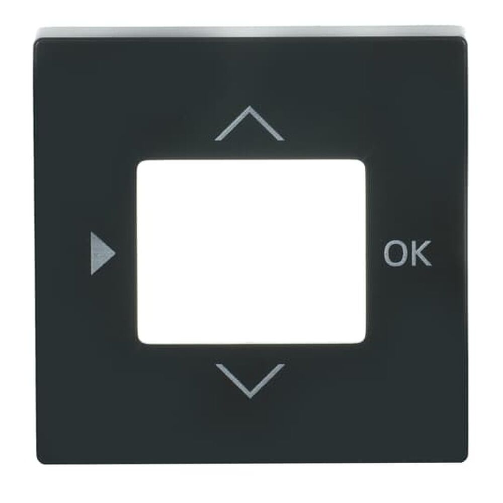 Busch-Jaeger Zentralscheibe 6435-81 Nr. 2CKA006430A0303