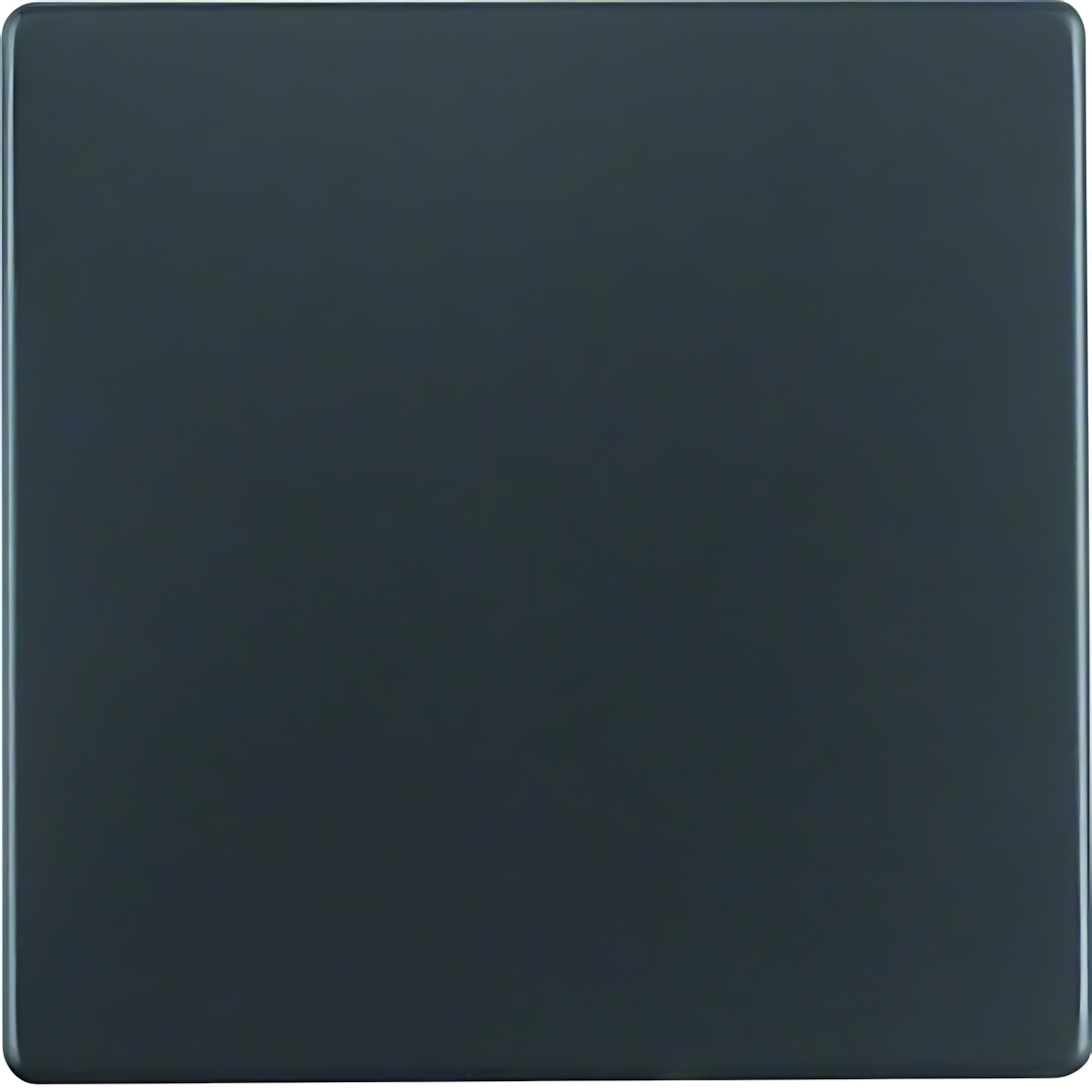 Berker Wippe 16206086 