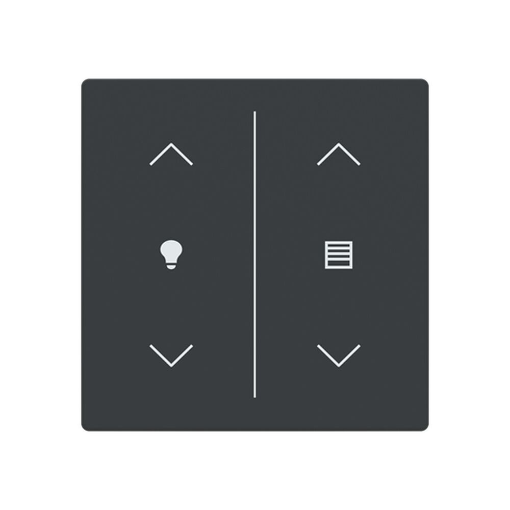 Busch-Jaeger Abdeckung LFDW/A.2.63.11-81 Typ 2CKA006199A0239 