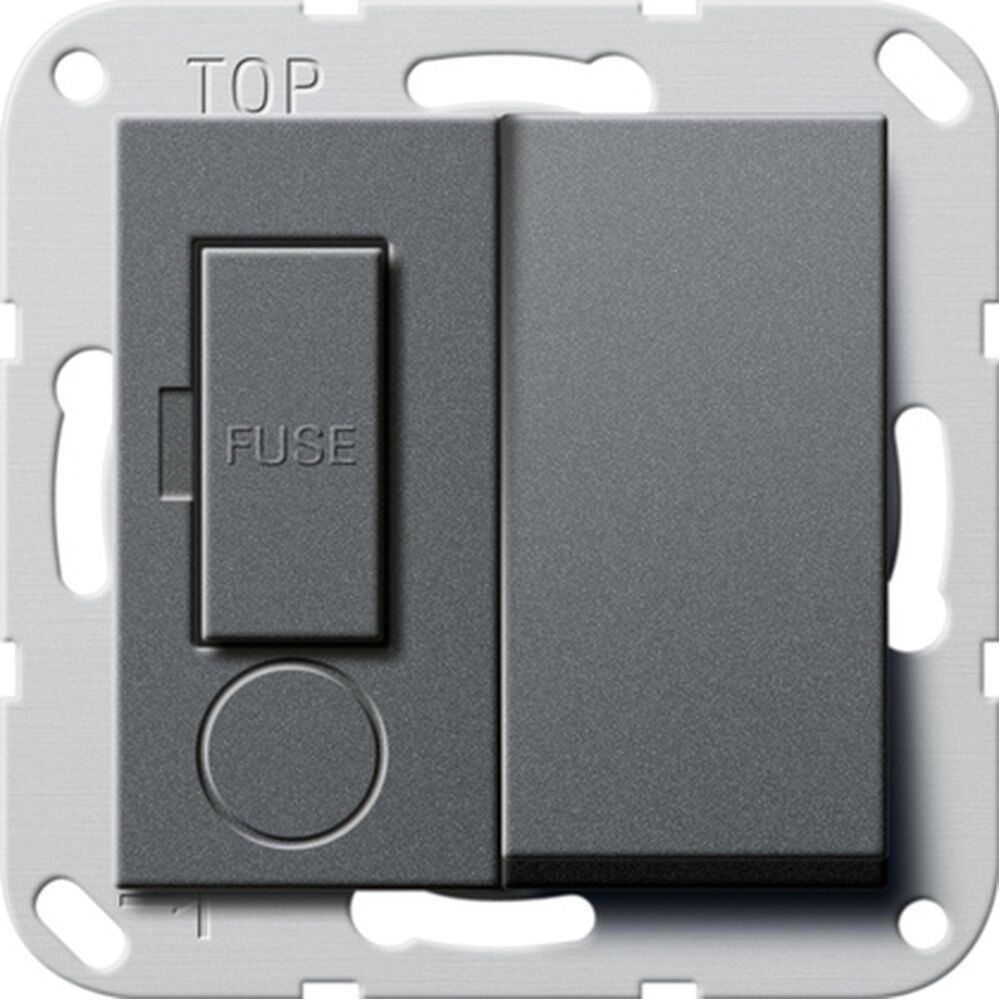 Gira Fused outlet Kontroll 278528